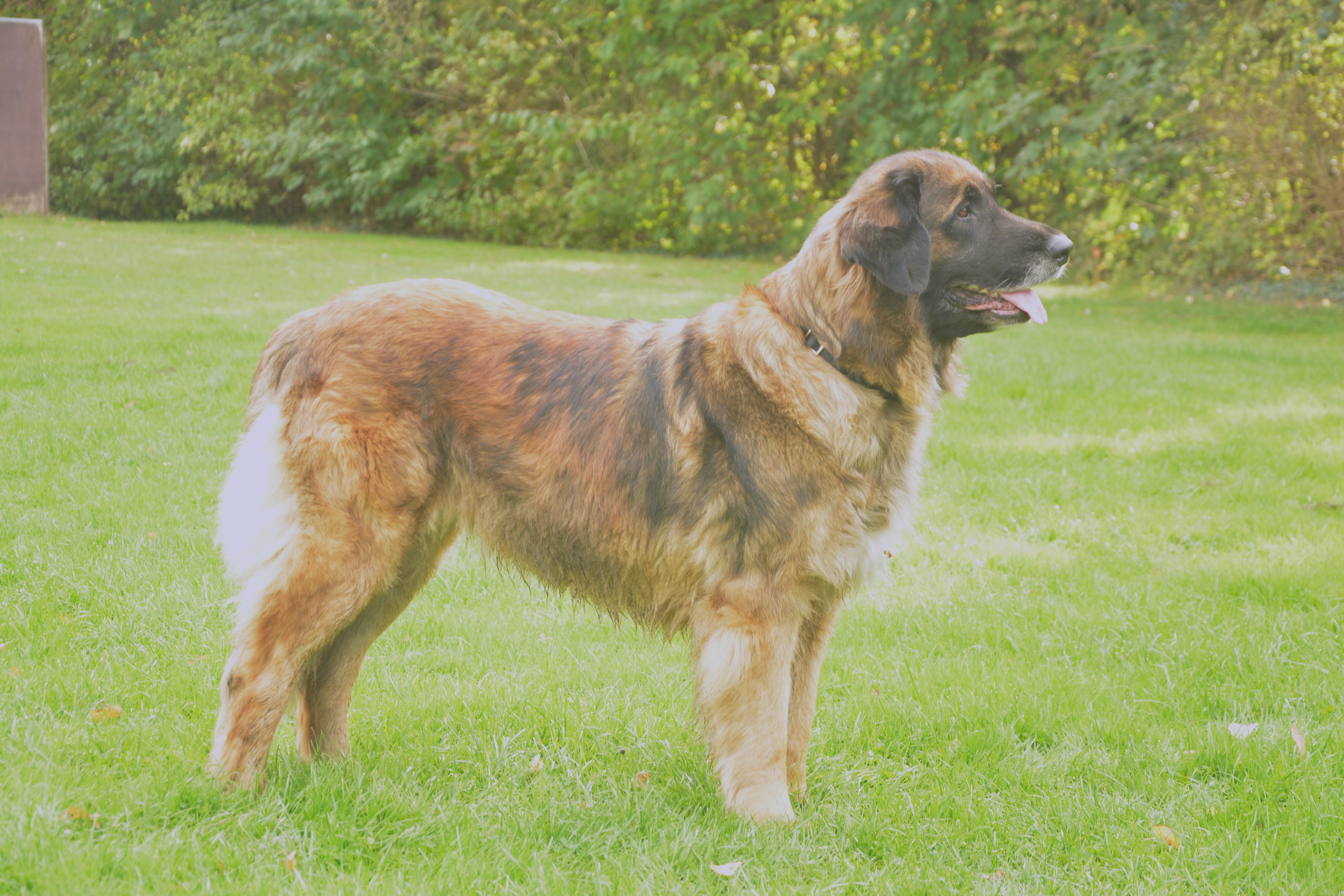 Crazy Candy Girl vom kleinen Dorfchen 1